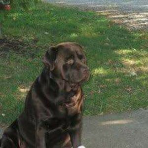 Meet your Posher, Debbie